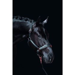 Lädergrimma, ponny-full, HKM Rosegold