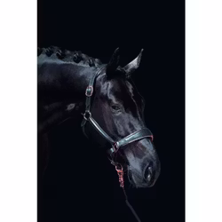Lädergrimma, ponny-full, HKM Rosegold