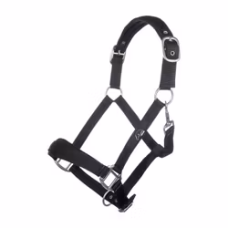 Nylongrimma, ponny-full, HKM Samantha