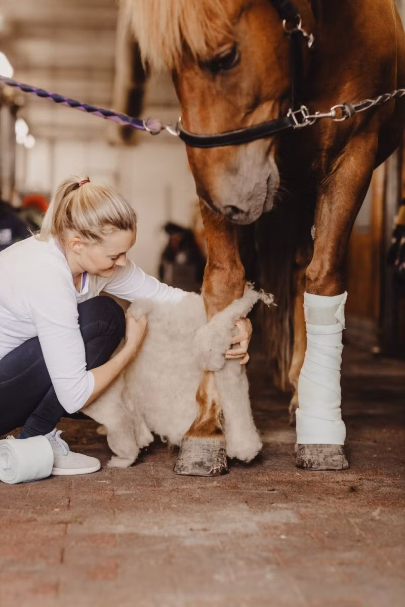 Ullpaddar, 40x45 cm, VILLAge