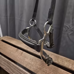 Bygelnosgrimma, island, Treadstone