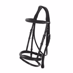 Aachenträns, ponny-xfull, Lippo Selected Fancy Slim