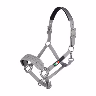 Nylongrimma, ponny, LG Livigno