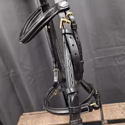 Aachenträns, cob, Globus