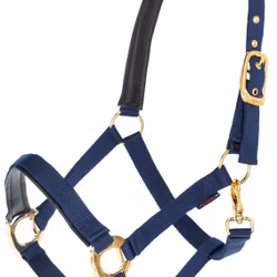 Nylongrimma, ponny-xfull, Covalliero TopLine
