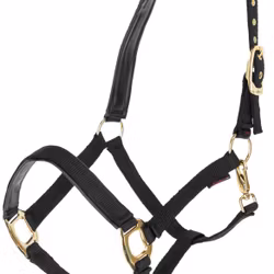 Nylongrimma, ponny-xfull, Covalliero TopLine