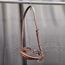 Aachennosgrimma, ponny