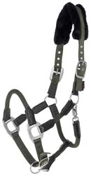 Nylongrimma, ponny-full, Covalliero Cordano