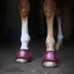 Boots, S-XL, Hansbo Sport
