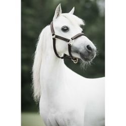 Lädergrimma, S-L, Lippo Selected Miniature