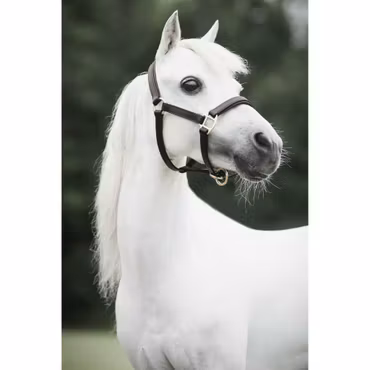 Lädergrimma, S-L, Lippo Selected Miniature