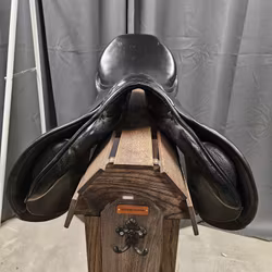 Stübben Artus, 16,5/31