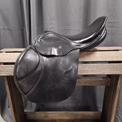 Stübben Artus, 16,5/31