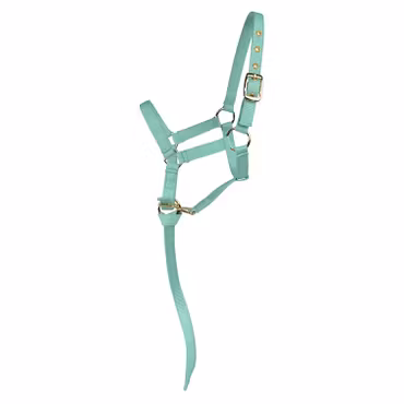 Nylongrimma, föl, Hansbo Sport