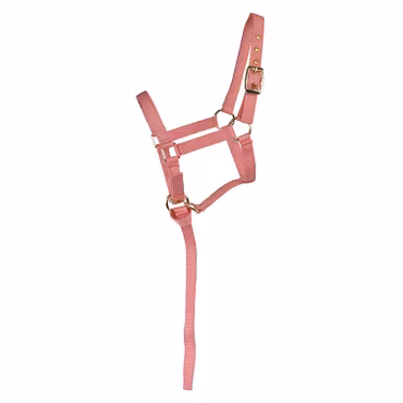 Nylongrimma, föl, Hansbo Sport