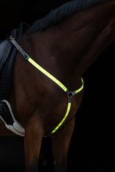 LED-reflexförbygel, Covalliero