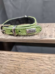 Halsband, 20 cm, Hunter