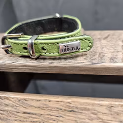 Halsband, 20 cm, Hunter