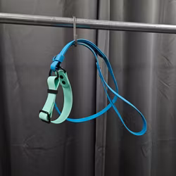 Halsband + koppel, 31 cm