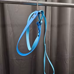 Halsband + koppel, 47 cm