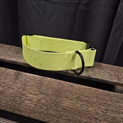 Halsband, 49 cm