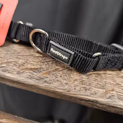 Halsband, 20-32 cm, RedDingo