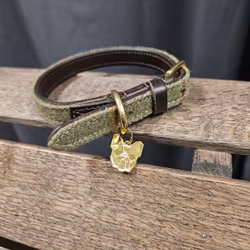 Halsband, 29-36 cm, Digby & Fox