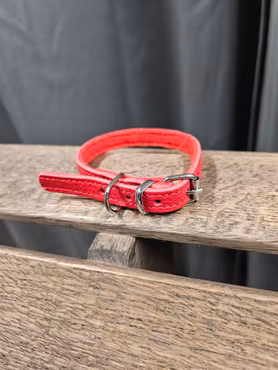 Halsband, 20 cm