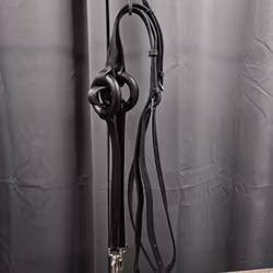 Inspänningstyglar, full