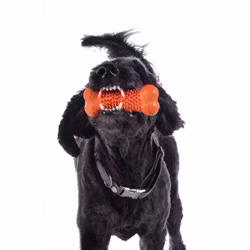 Hundleksak, HKM Buddy Bone III
