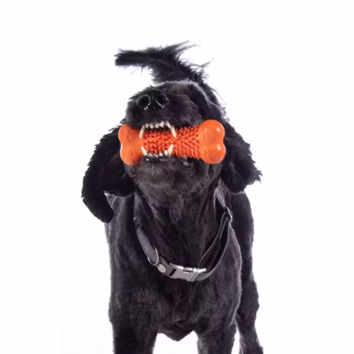 Hundleksak, HKM Buddy Bone III