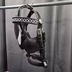 Körhuvudlag, minishetland, SG International