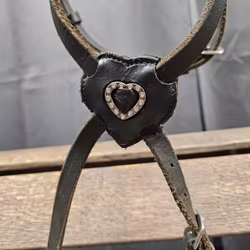 Pullarnosgrimma, full