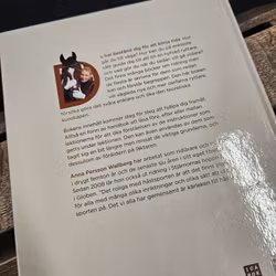 Bok: Rid Lätt, Anna Persson Wallberg