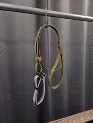 Halsband + koppel,