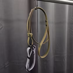 Halsband + koppel,