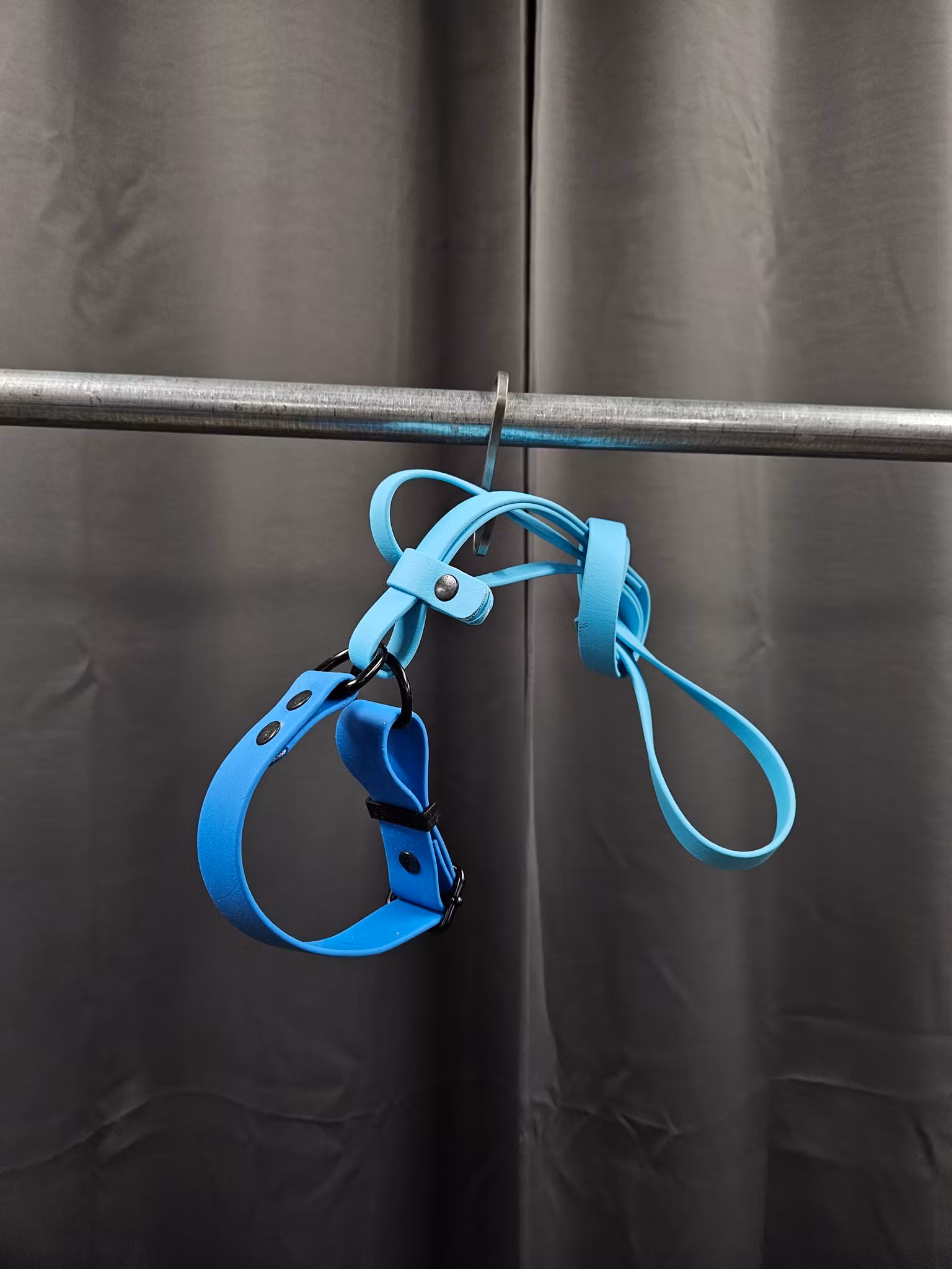 Halsband + koppel, 31 cm