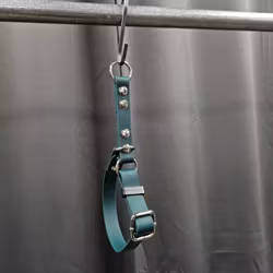 Halsband, 20-30 cm