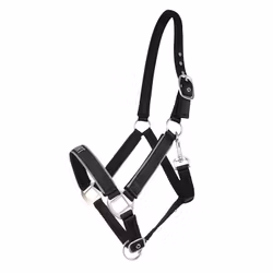 Reflexgrimma, ponny-full, Hansbo Sport