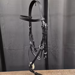 Pullarträns, ponny, Fairfield