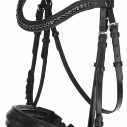 Aachenträns, ponny-full, Covalliero Swedish