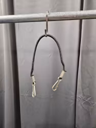 Svanssnöre