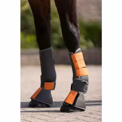 Arbetsdamasker, S-XL, HKM Colour Pro