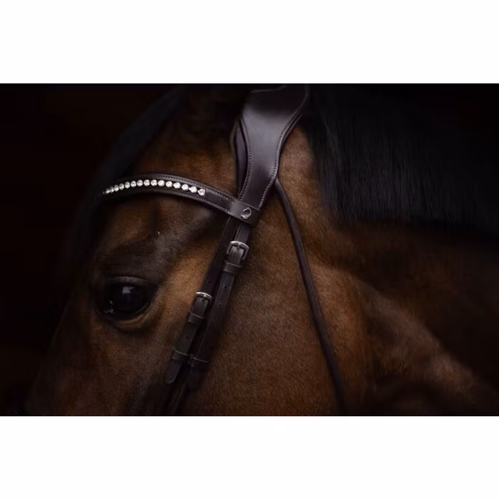 Aachenträns, ponny-full, Lauria Garrelli Arezzo