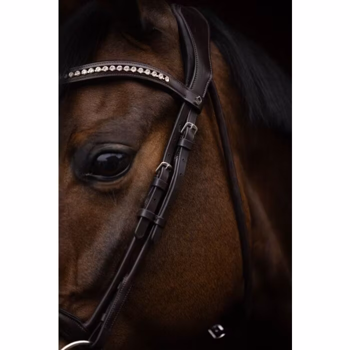 Aachenträns, ponny-full, Lauria Garrelli Arezzo