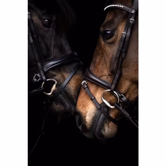 Aachenträns, ponny-full, Lauria Garrelli Arezzo