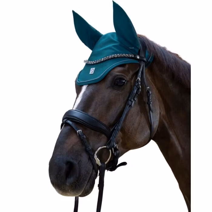 Aachenträns, ponny-full, Lauria Garrelli Livigno