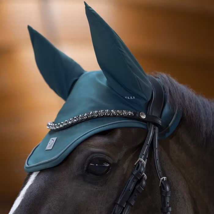 Aachenträns, ponny-full, Lauria Garrelli Livigno