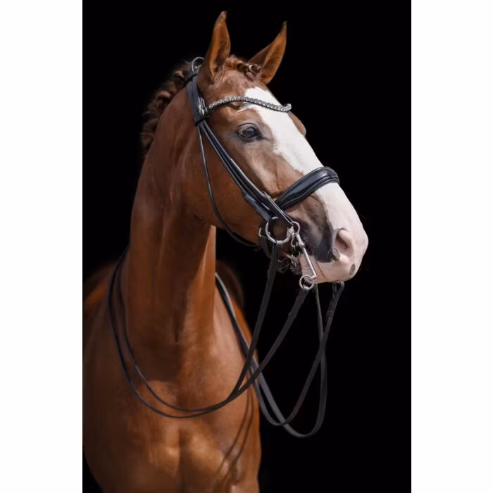 Kandarträns, ponny-full, HKM Kate