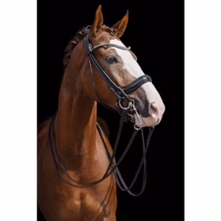 Kandarträns, ponny-full, HKM Kate